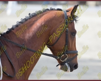 BULLE 0171